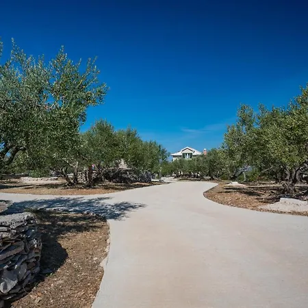 Olive Park House Brac