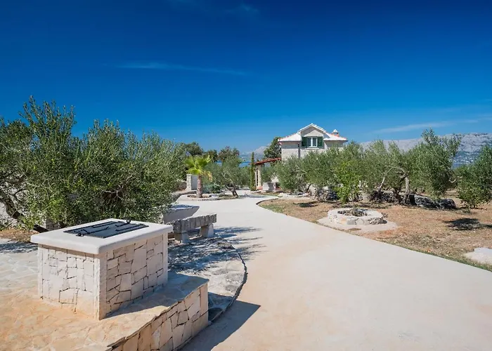 펜션 Olive Park House Brac