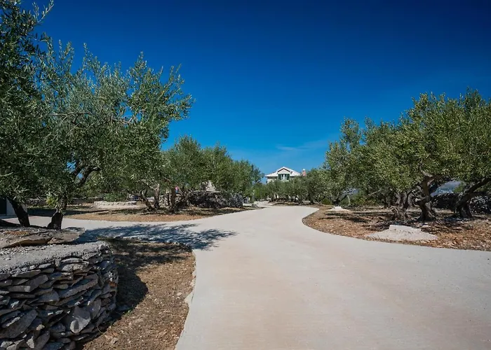 Olive Park House Brac