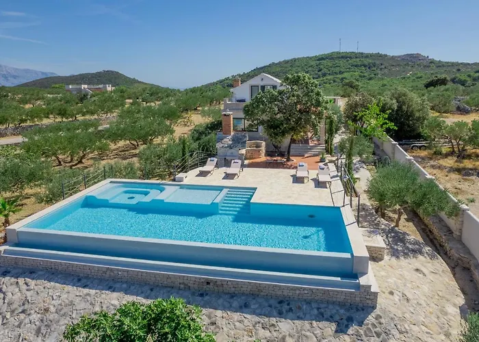 Olive Park House Brac 펜션 포블랴